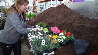 Hoe vul ik mijn plantenbakken en potten in het voorjaar?