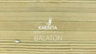 Karintia Kft. - Balaton őszi búza