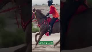 ايش تفضل من رياضة الخيل شاركنا هيا بالتعليقات #الخيل_العربية_الأصيلة#فروسية#الخيل