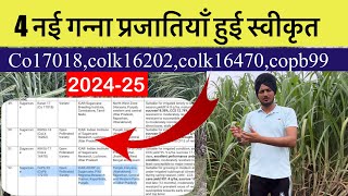 नई 4 गन्ना किस्मे हुईं रिलीज़, उत्पादन है तूफ़ानी | CO17018, COLK16202, COPB99, COLK16470 varieties