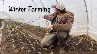 Winter Farming