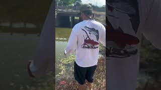 Tossing out the fish trap! #fish #urban #trapping #fishtrap #fishing #shorts