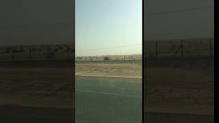 Driving to dune bashing