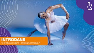 Introdans - Swan Lake