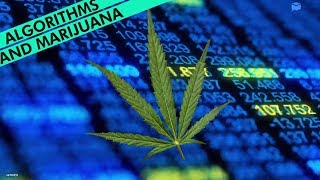 A computer algorithm could get rid of marijuana convictions for thousands of poeple