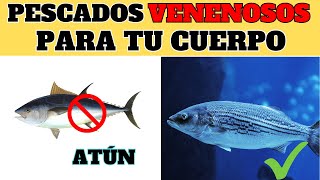 ESTOS 13 Pescados que NUNCA Deberías Comer y 12 PESCADOS PERFECTOS