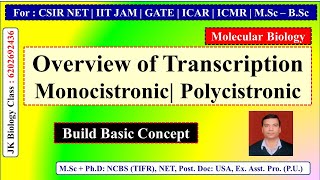 Overview of Transcription | Monocistronic | Polycistronic | CSIR NET LIFE SCIENCE