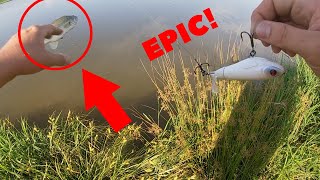 CRAZY FISH...JUMPS OUT OF WATER AND ATTACKS MY LURE!!! (NOT CLICK BAIT LOL)