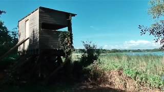 Noah's Hide, Shapwick Heath