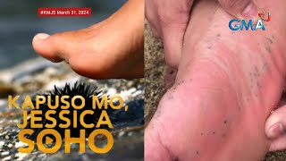 KAMANDAG NG SEA URCHINS | KAPUSO MO, JESSICA SOHO LATEST EPISODE | KMJS MARCH 31, 2024