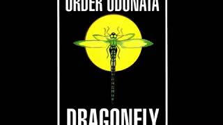 Dragonfly Records- Order Odonata  1994 Vol.1 - Psychedelic.com.br