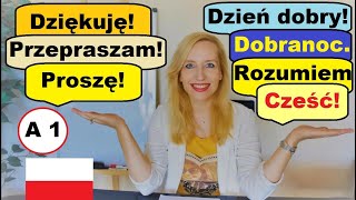 LEARN POLISH (A1). ESSENTIAL POLISH PHRASES AND EXPRESSIONS./ ENGLISH SUBTITLES