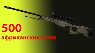 купил 500 awp африканская сетка