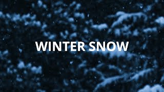 Winter Snow - Central Collective Cover