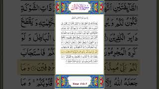 Quran Surah Anfal Ayat 6 to 10#surahanfal #qurantranslation #quran #quranrecitation #youtubeshorts