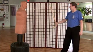 Intermediate Taiji (Tai Chi):  Short Weapons Strikes with Taiji Cane, Part 2