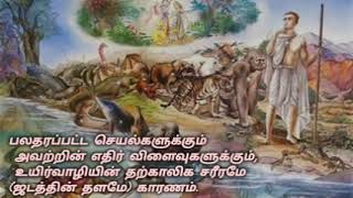 பலதரப்பட்ட செயல்களுக்கும் அவற்றின் எதிர் விளைவுகளுக்கும், உயிர்வாழியின் தற்காலிக சரீரமே காரணம்.