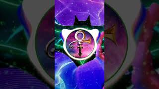 Prince - Partyman (Crazy Party Remix)