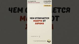 Чем отличается макрух от харама? | Ханиф Абу Али