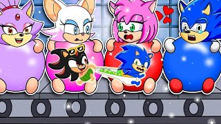 Amy And Blaze Cold War - What Would Sonic Do?? SONIC COMEDY 2D