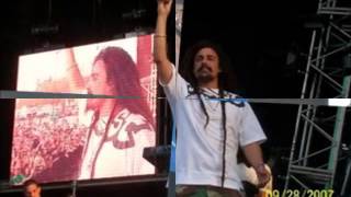 Dread Mar I   arbol sin hojas