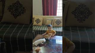 Baby Aashir sees kittens for the first time #kittens #cats #baby