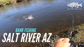 BANK fishing the Salt River AZ // *WARNING* RattleSnake Bit My Camera!