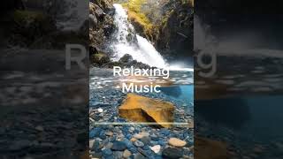 Best of Relaxing and Study Music  #short vol 23 #studymusic #nature