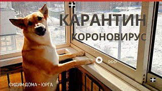 СИДИМ ДОМА. Короновирус