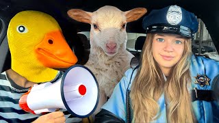 Rubber Ducky Surprises, Police &; Puppy with Car Ride, Chase by Ducky life