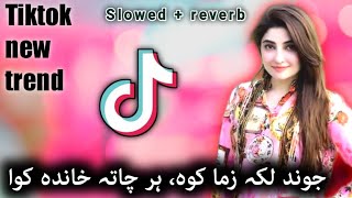 jwand laka zama kawa har chata khanda kawa | Pashto New Song 2022 | Tiktik viral song 2022