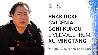 Praktické cvičenia čchi-kungu s Veľmajstrom XU Mingtang, Štokholm, Švédsko