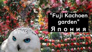 Fuji Kachoen Garden Парк