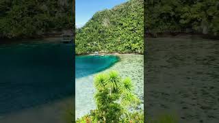 Nature at it’s finest! #bluelagoon #dinagatislands #shorts