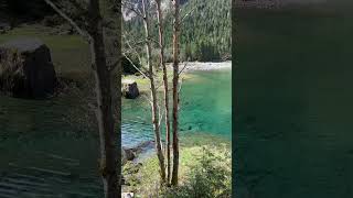 Austrian Alps❤️🌲🌳Relaxation  Nature Video with stressrelief music ❤️more videos on my channel!!!