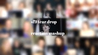 SF9 Tear Drop mv reaction mashup