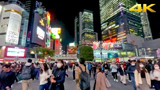 🇯🇵 Night Walk in Tokyo Shibuya・4K