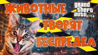 Приколы в GTA 5. Животный беспредел. Смешные моменты под эпичную музыку.