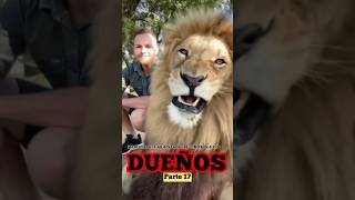 Mascotas que asesinaron o se comieron a sus Dueños | Parte 17