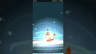 I Evolve 6th Anniversary Pokemon Go  Charmander Charmeleon Charizard #pokemongo