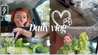 Vlog⭐mam już dość 😓😴 rozpoczynam sezon.... na kiszenie ogóreczkow #vlog