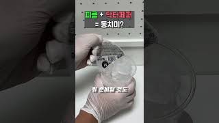 피클에 닥터페퍼를 섞어 먹는다고?