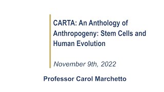 Stem Cells and Human Evolution