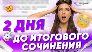 2 ДНЯ ДО ИТОГОВОГО СОЧИНЕНИЯ😱🤯 | Академикс