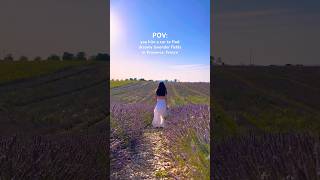 Driving through the lavender fields of PROVENCE, FRANCE 🥹💜 #france #southoffrance #lavenderfields