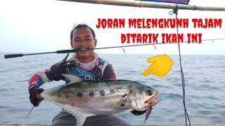 Ikan predator penghuni laut karawang