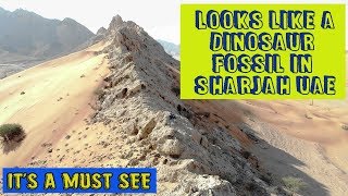 Fossil Rock Sharjah, UAE / Desert / Mountain / Drone / Aerial shots (Vlog # 03)