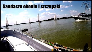 Sandaczyki okonie i szczupaczki w upalny dzień :)