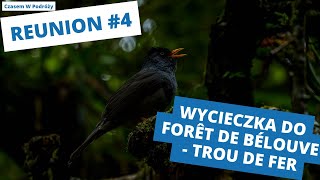 Reunion #4 - Trekking po Forêt de Bélouve na punkt widokowy Trou de fer