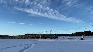 Hectorrail Gt 41859 Lycksele - Gimonäs pulled by class T66 diesel passing Brännland.